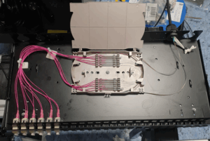 A fibre patch panel showing 12 fibres connected